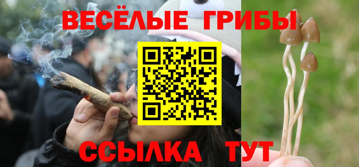 Галлюциногенные грибы Cubensis  Псилоцибиновые грибы мухоморы  Балтийск  Вход с VPN 